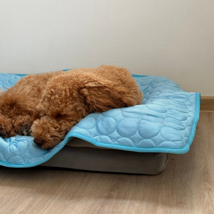 CHILLPAWS | Self-Cooling Gel Mat for Dogs & Cats
