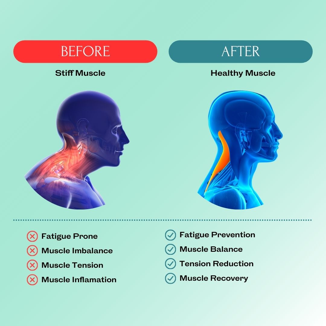 NECKRELIEF | Heated Portable Neck Massager