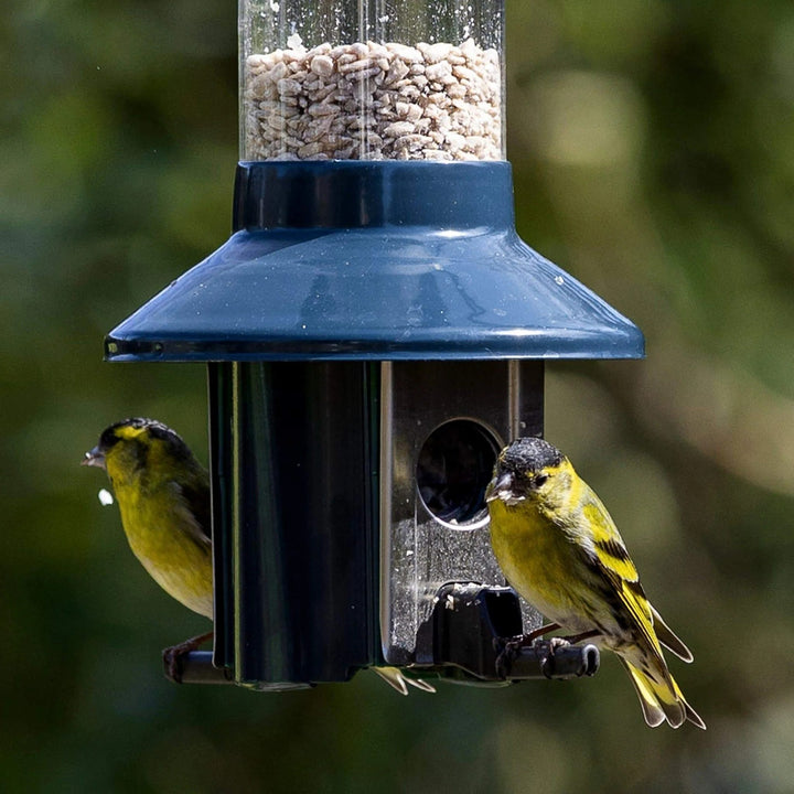 SAFESEED | Pest & Squirrel-Proof Bird Feeder