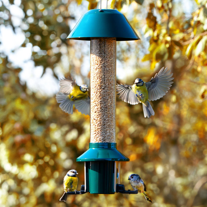 SAFESEED | Pest & Squirrel-Proof Bird Feeder